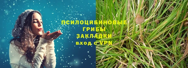 ALPHA-PVP Гусев