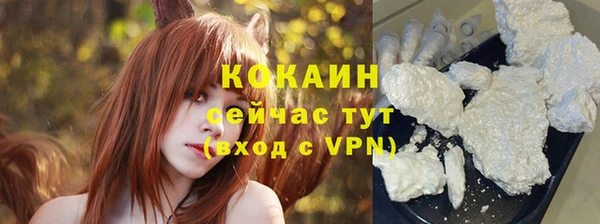 ALPHA-PVP Гусев